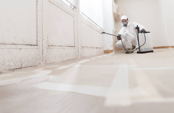 24/7 Emergency Mold Remediation experts in Burgess, VA